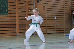 IMG_2754_bearbeitet-1