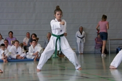 IMG_2755_bearbeitet-1