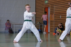 IMG_2756_bearbeitet-1