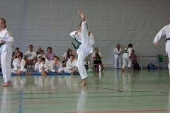 IMG_2770_bearbeitet-1