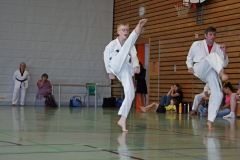 IMG_2773_bearbeitet-1