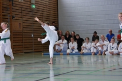 IMG_2775_bearbeitet-1