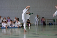 IMG_2776_bearbeitet-1