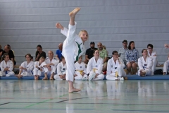 IMG_2778_bearbeitet-1