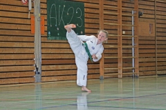 IMG_2785_bearbeitet-1