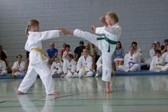 IMG_2797_bearbeitet-1