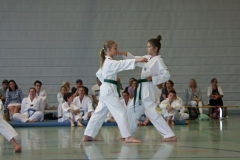 IMG_2806_bearbeitet-1