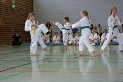 IMG_2810_bearbeitet-1