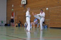 IMG_2814_bearbeitet-1