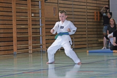 IMG_2823_bearbeitet-1