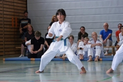 IMG_2824_bearbeitet-1