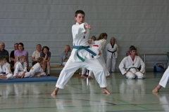 IMG_2827_bearbeitet-1