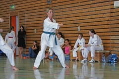 IMG_2829_bearbeitet-1