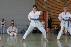 IMG_2831_bearbeitet-1