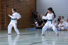 IMG_2832_bearbeitet-1