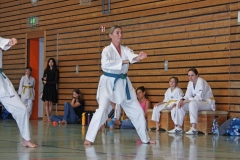 IMG_2835_bearbeitet-1