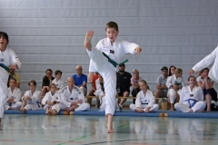 IMG_2838_bearbeitet-1