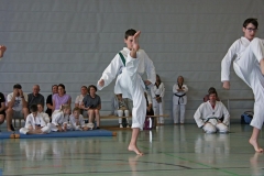 IMG_2840_bearbeitet-1