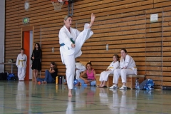 IMG_2843_bearbeitet-1