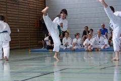 IMG_2846_bearbeitet-1