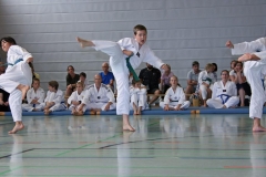 IMG_2847_bearbeitet-1