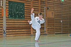 IMG_2862_bearbeitet-1