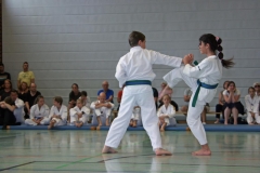 IMG_2877_bearbeitet-1