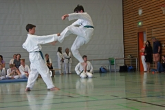 IMG_2878_bearbeitet-1