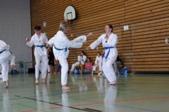 IMG_2887_bearbeitet-1