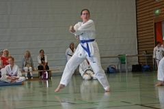 IMG_2907_bearbeitet-1