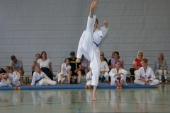 IMG_2909_bearbeitet-1