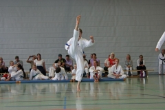 IMG_2916_bearbeitet-1