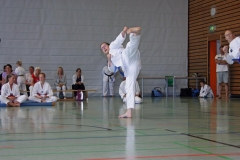 IMG_2922_bearbeitet-1