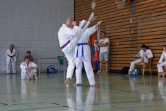 IMG_2945_bearbeitet-1