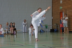 IMG_2957_bearbeitet-1