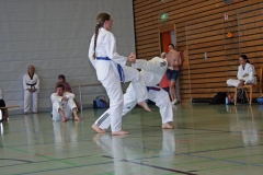 IMG_2982_bearbeitet-1