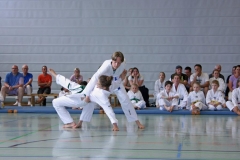 IMG_2985_bearbeitet-1