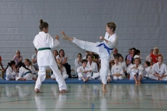 IMG_2994_bearbeitet-1