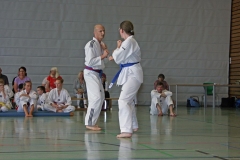 IMG_2999_bearbeitet-1