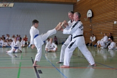 IMG_3015_bearbeitet-1