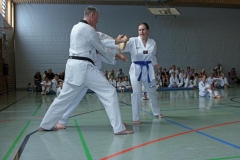 IMG_3022_bearbeitet-1