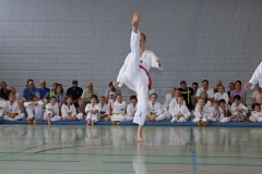 IMG_3035_bearbeitet-1