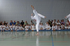 IMG_3043_bearbeitet-1