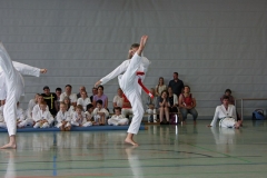 IMG_3045_bearbeitet-1