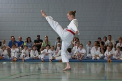 IMG_3072_bearbeitet-1