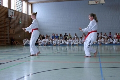 IMG_3080_bearbeitet-1