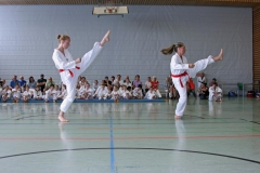 IMG_3090_bearbeitet-1