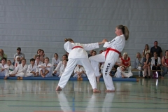 IMG_3099_bearbeitet-1