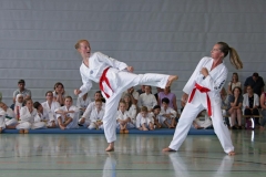 IMG_3101_bearbeitet-1