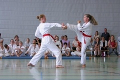 IMG_3102_bearbeitet-1